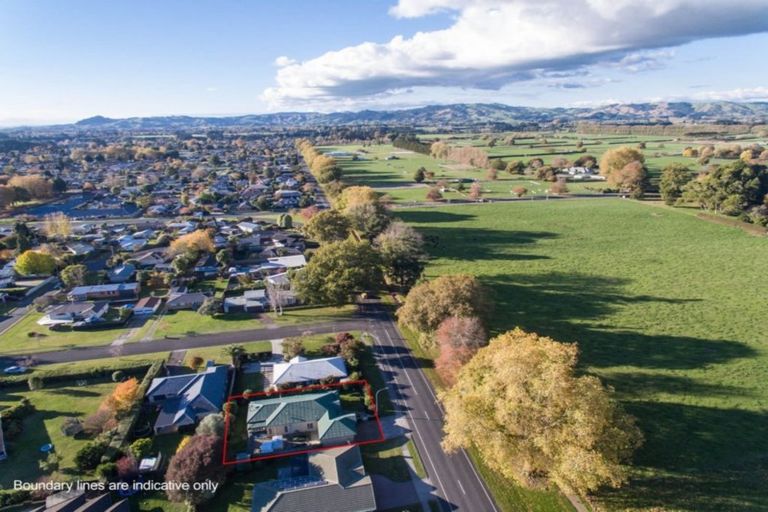 Photo of property in 87 Carlyle Street, Leamington, Cambridge, 3432