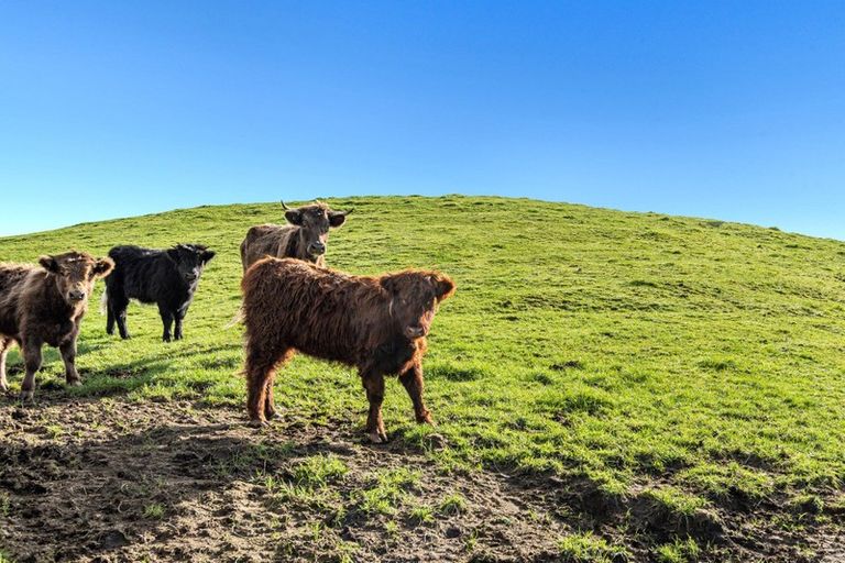 Photo of property in 402e Crawford Road, Minden, Tauranga, 3171