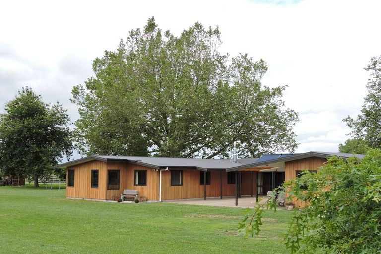 Photo of property in 6 Cameo Place, Matamata, 3472