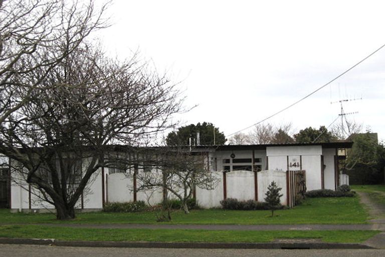 Photo of property in 141 Winchester Street, Levin, 5510