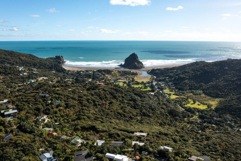 Photo of property in 22 Pendrell Road, Piha, New Lynn, 0772