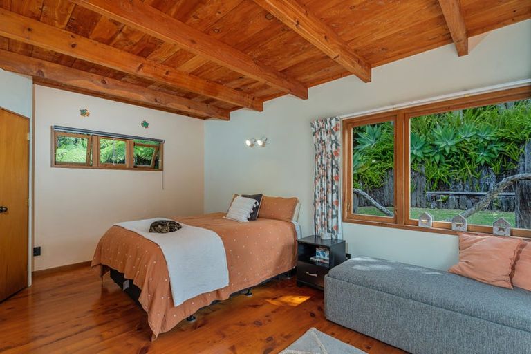 Photo of property in 969 Purangi Road, Cooks Beach, Whitianga, 3591