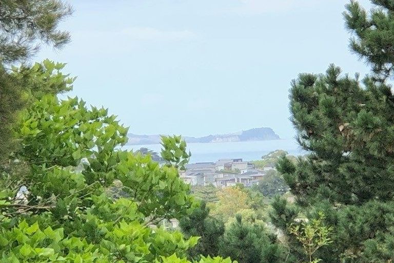 Photo of property in 117 Stredwick Drive, Torbay, Auckland, 0630