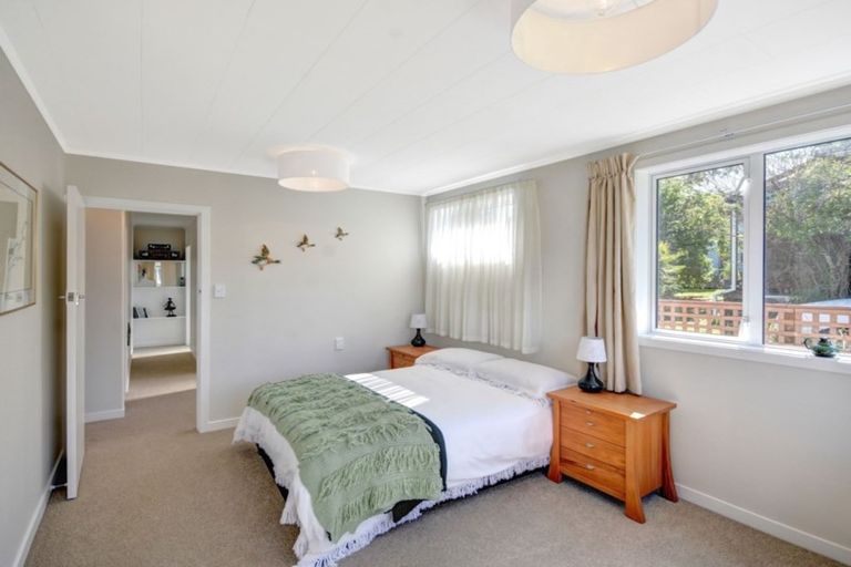 Photo of property in 17 Signal Hill Road, Opoho, Dunedin, 9010