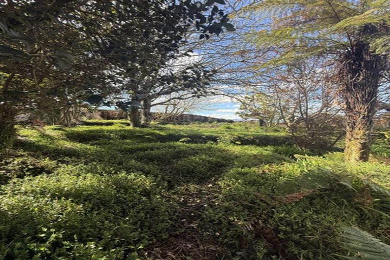 Photo of property in 41 Thomas Crescent, Western Heights, Rotorua, 3015