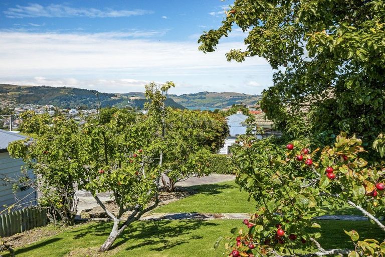 Photo of property in 99 Shetland Street, Wakari, Dunedin, 9010