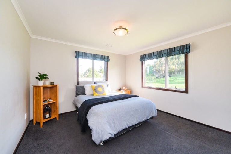 Photo of property in 38 Ursula Drive, Feilding, 4702