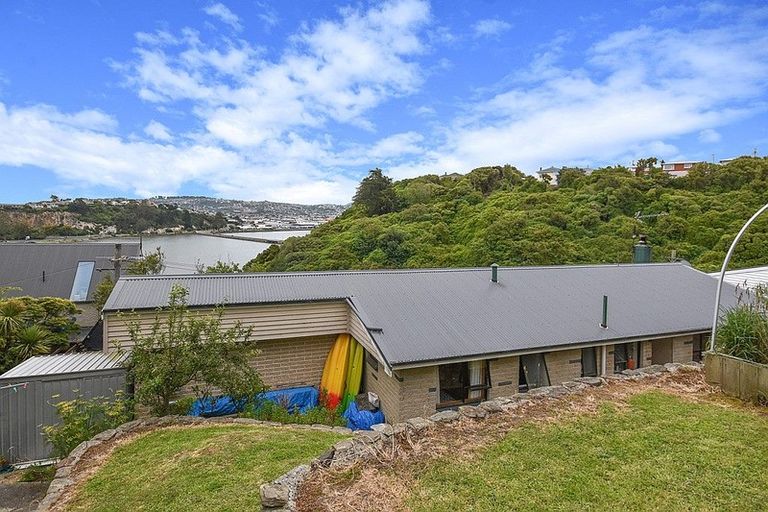 Photo of property in 20 Larnach Road, Waverley, Dunedin, 9013