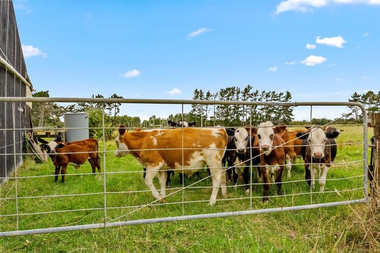 Photo of property in 331 South Head Road, South Head, Helensville, 0874