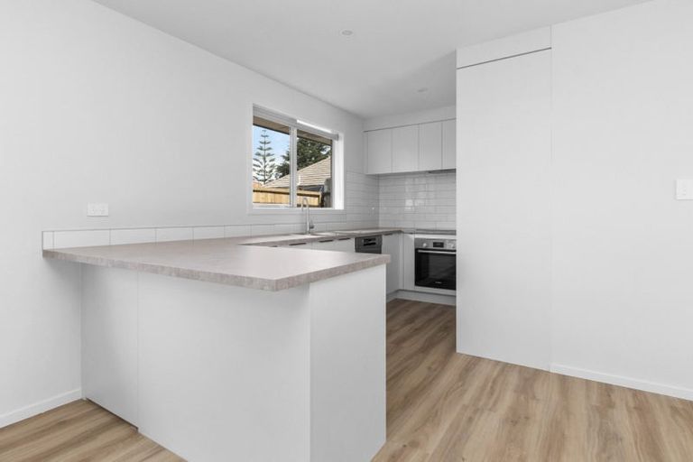 Photo of property in 2/41 Ross Crescent, Fairfield, Hamilton, 3214