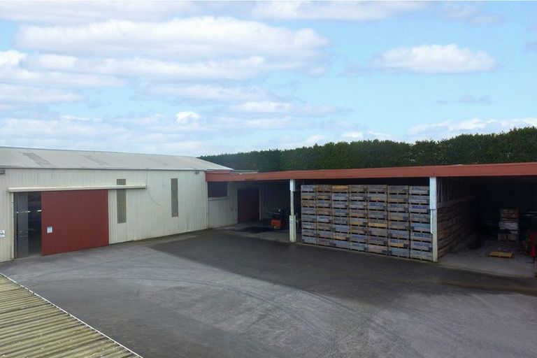 Photo of property in 11 Trig Road, Waihi, 3681