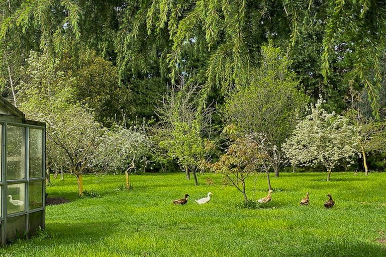 Photo of property in 265 No 1 Line, Tauwharenikau, Featherston, 5771