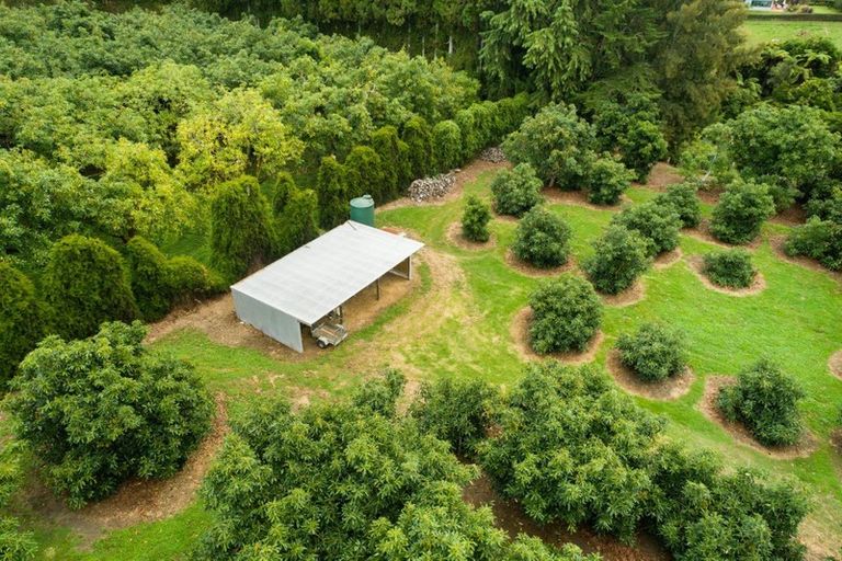 Photo of property in 63a Snodgrass Road, Te Puna, Tauranga, 3174