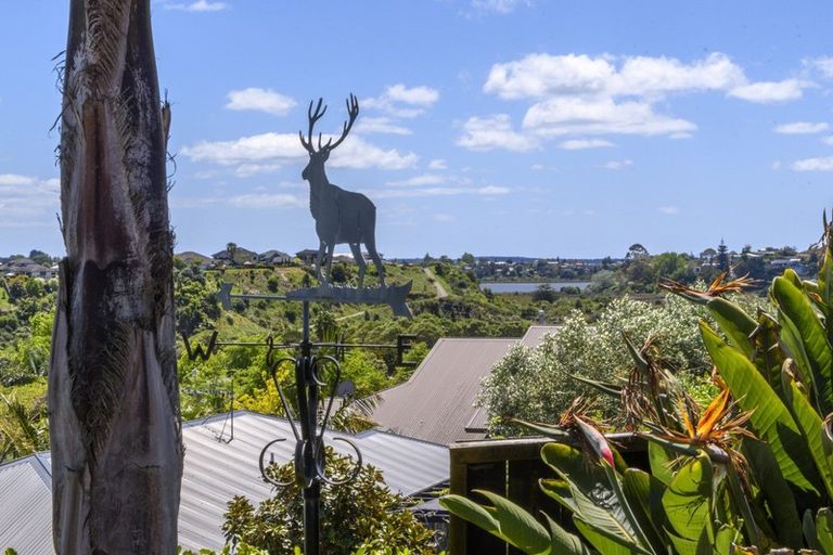 Photo of property in 48 Hawkridge Heights, Bethlehem, Tauranga, 3110