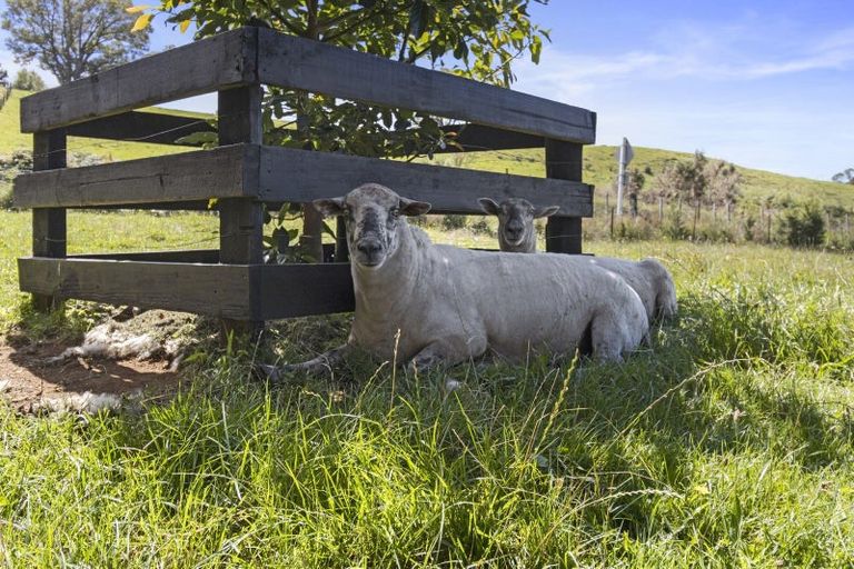Photo of property in 125 Te Tahi Road, Puketotara, Te Awamutu, 3876
