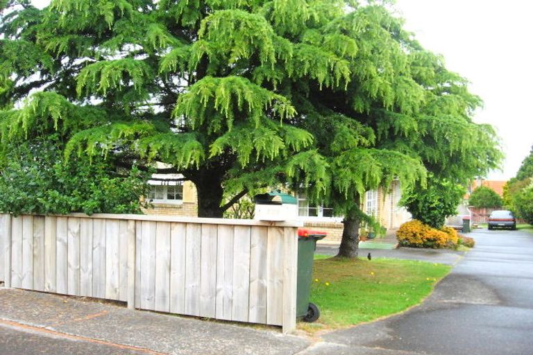 Photo of property in 209a Mount Albert Road, Wesley, Auckland, 1025