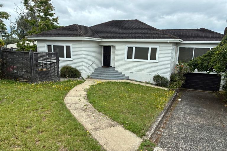 Photo of property in 16 Alison Street, Hamilton Lake, Hamilton, 3204