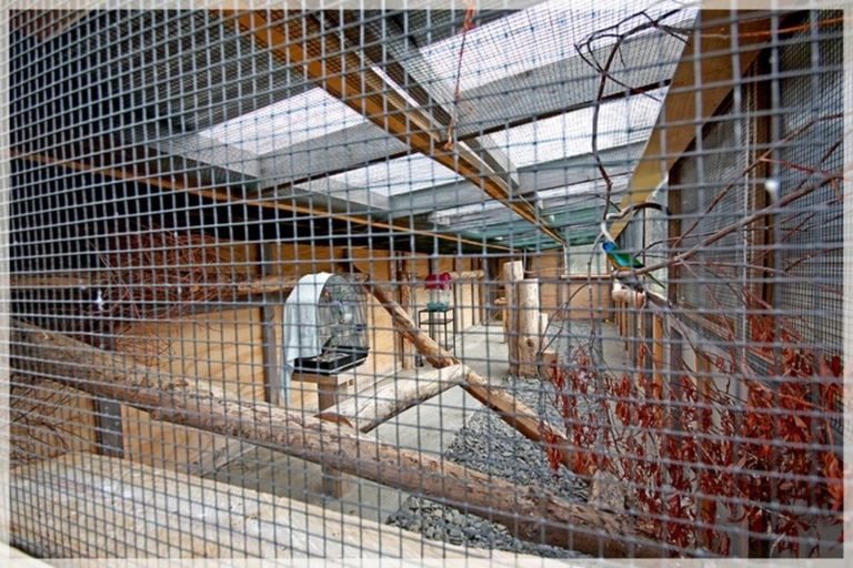 Photo of property in 296 Motuiti Road, Foxton, 4891