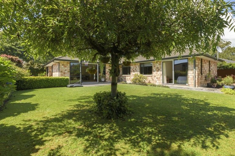 Photo of property in 24 Hansard Place, Bethlehem, Tauranga, 3110