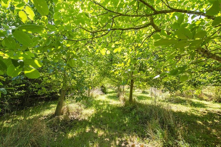 Photo of property in 337 Foothills Road, Okuku, Rangiora, 7473