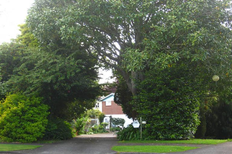 Photo of property in 49 Innes Place, Te Awamutu, 3800