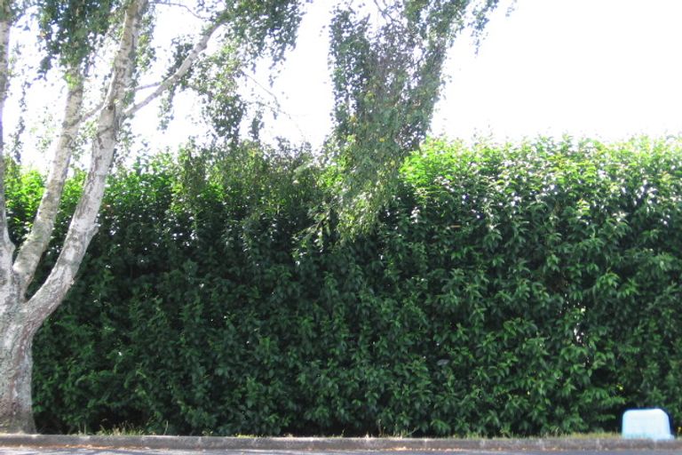 Photo of property in 1/61 Avondale Road, Avondale, Auckland, 1026