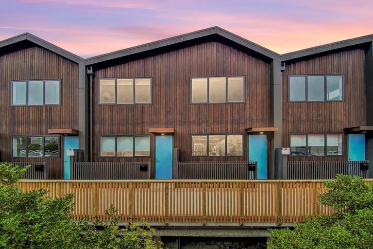 Photo of property in Aniva Terrace, 22 Ferguson Street, Newtown, Wellington, 6021