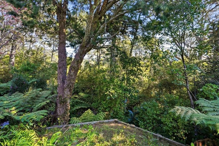 Photo of property in 1/11 Saddleback Rise, Murrays Bay, Auckland, 0630