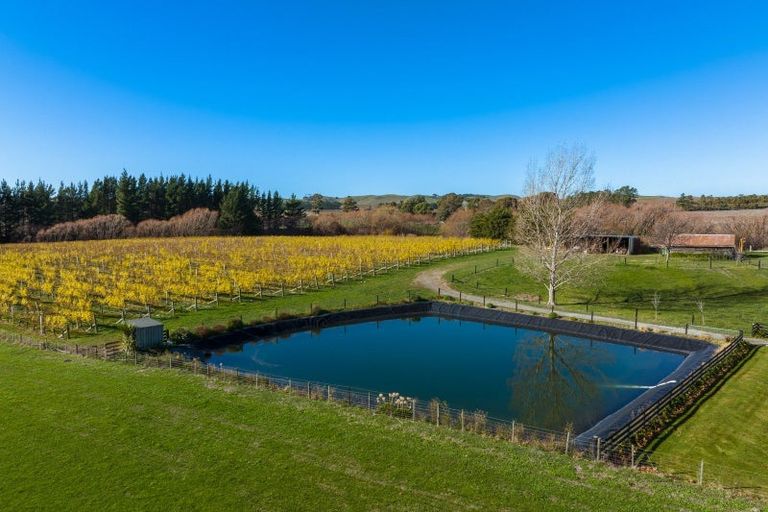 Photo of property in 441 Blind River Road, Blind River, Seddon, 7285