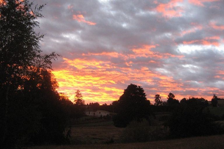 Photo of property in 14 Harrington Place, Lawrence, 9532