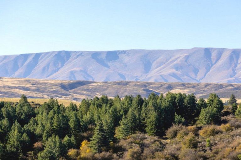 Photo of property in 135 Cambrian Road, Cambrians, Omakau, 9386