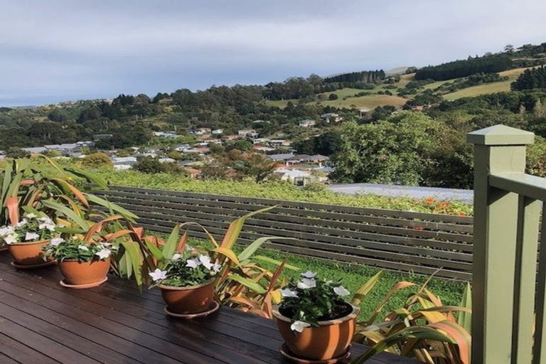 Photo of property in 22 Birchfield Avenue, North East Valley, Dunedin, 9010