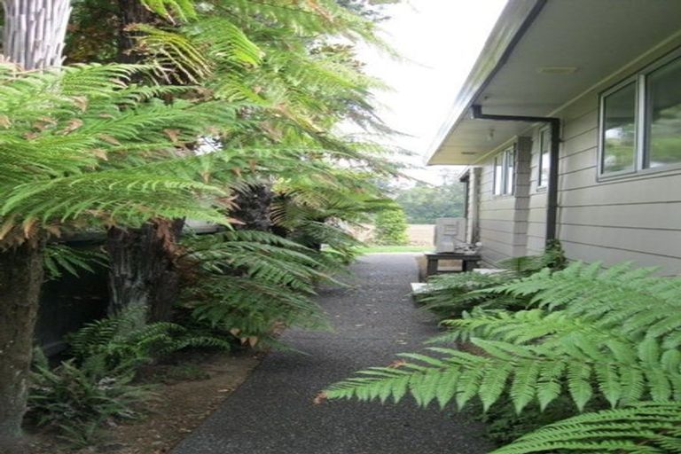 Photo of property in 7 College Place, Poike, Tauranga, 3112