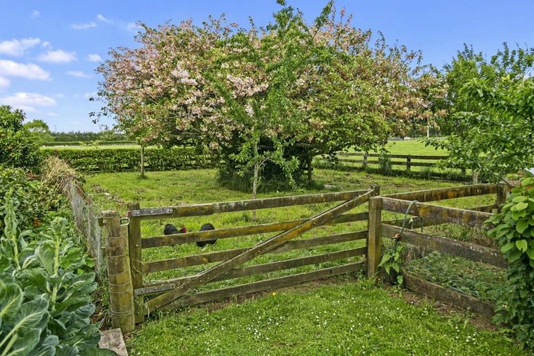 Photo of property in 1242 Kaipaki Road, Cambridge, 3495