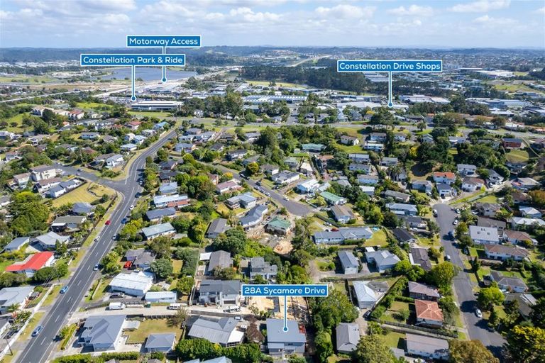 Photo of property in 28a Sycamore Drive, Sunnynook, Auckland, 0620