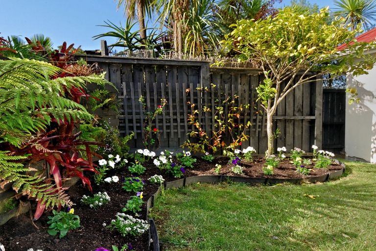 Photo of property in 38 Pine Avenue, Henderson, Auckland, 0612