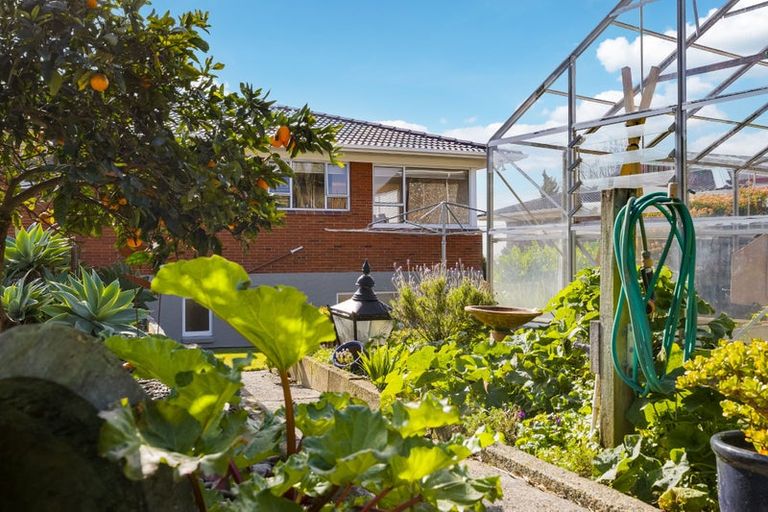 Photo of property in 5 Tanoa Place, Glendene, Auckland, 0602