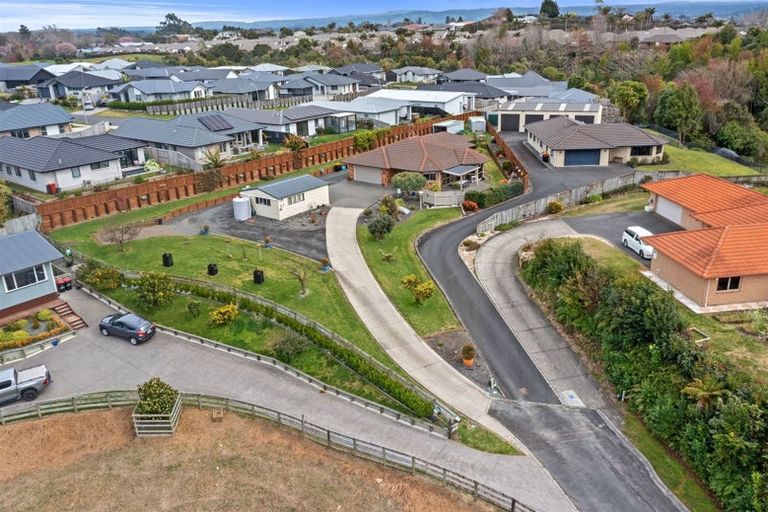 Photo of property in 87 Awaiti Place, Hairini, Tauranga, 3112