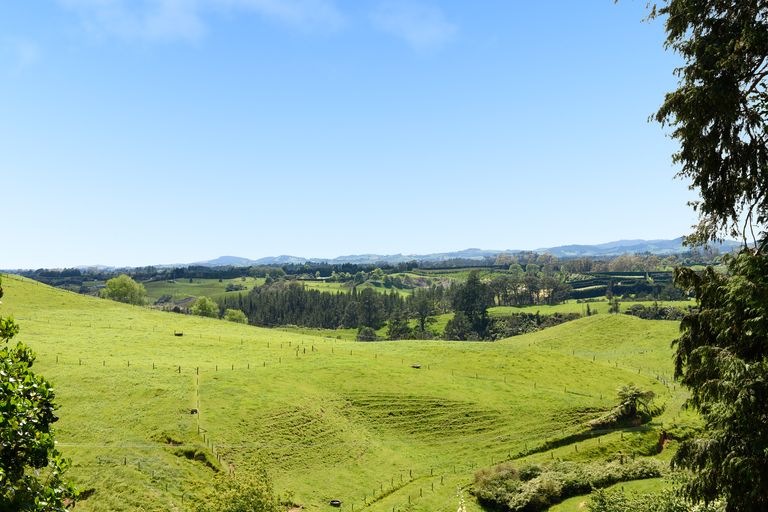 Photo of property in 9 Mclaren Falls Road, Lower Kaimai, Tauranga, 3171