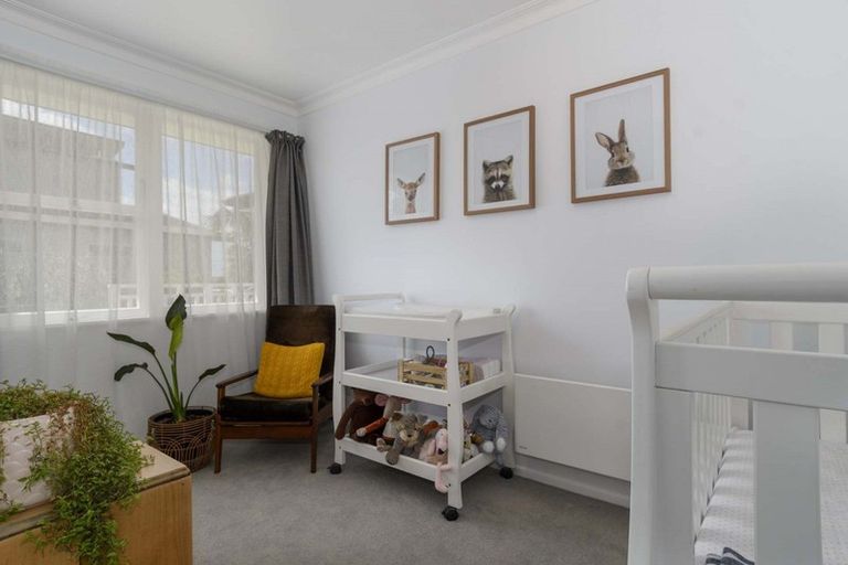 Photo of property in 23 Tanner Street, Tauranga South, Tauranga, 3112