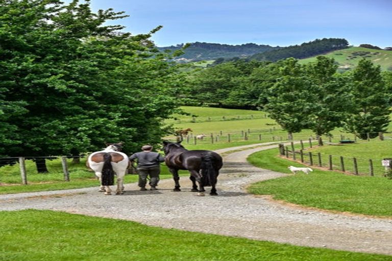 Photo of property in 65b Ngakoroa Road, Ormond, Gisborne, 4071