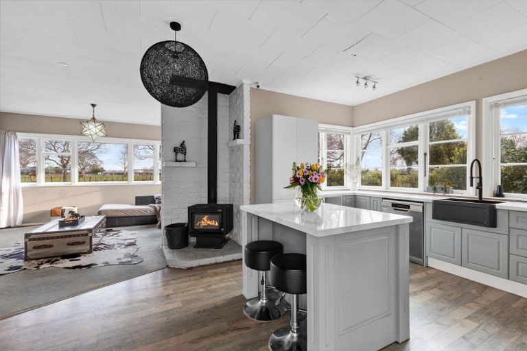 Photo of property in 203 Lamb Street, Leamington, Cambridge, 3432