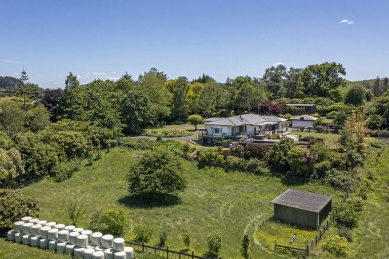 Photo of property in 1006 Tirau Road, Karapiro, Cambridge, 3494