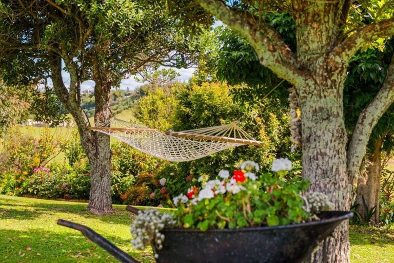 Photo of property in 31 No 1 Road, Te Puke, 3119