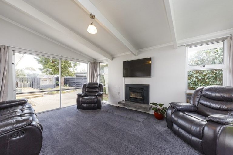 Photo of property in 141 Salisbury Street, Ashhurst, 4810