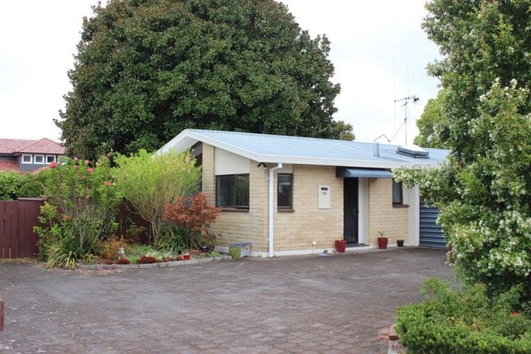 Photo of property in 50a Myres Street, Otumoetai, Tauranga, 3110