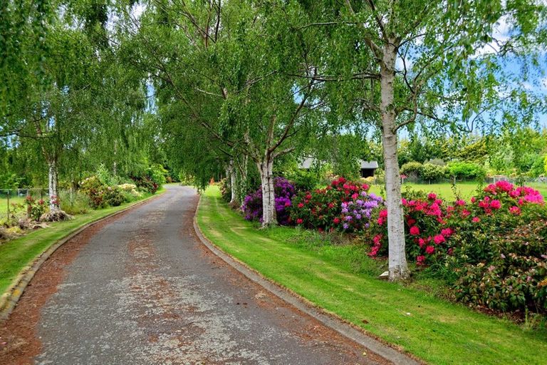 Photo of property in 40 Hunts Road, Waimate, 7978