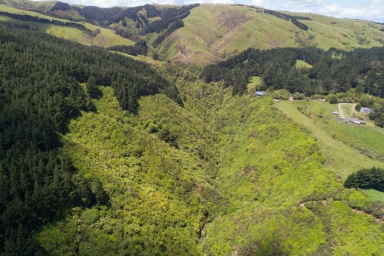 Photo of property in 631 Pahiatua Aokautere Road, Aokautere, Palmerston North, 4471