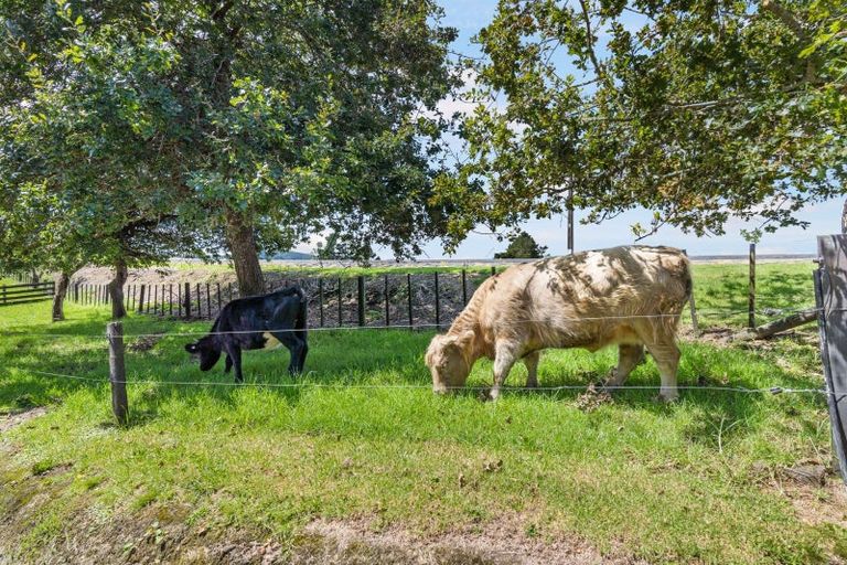 Photo of property in 94 Ara-kotinga, Whitford, Manurewa, 2576