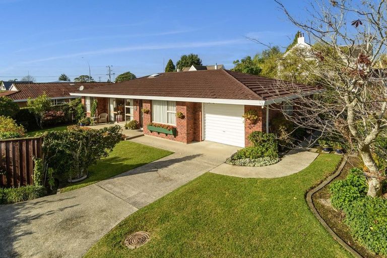 Photo of property in 266b Otumoetai Road, Otumoetai, Tauranga, 3110